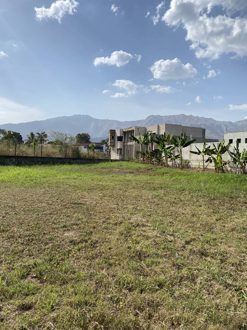 #20215 - mini finca para Venta en Valencia - G