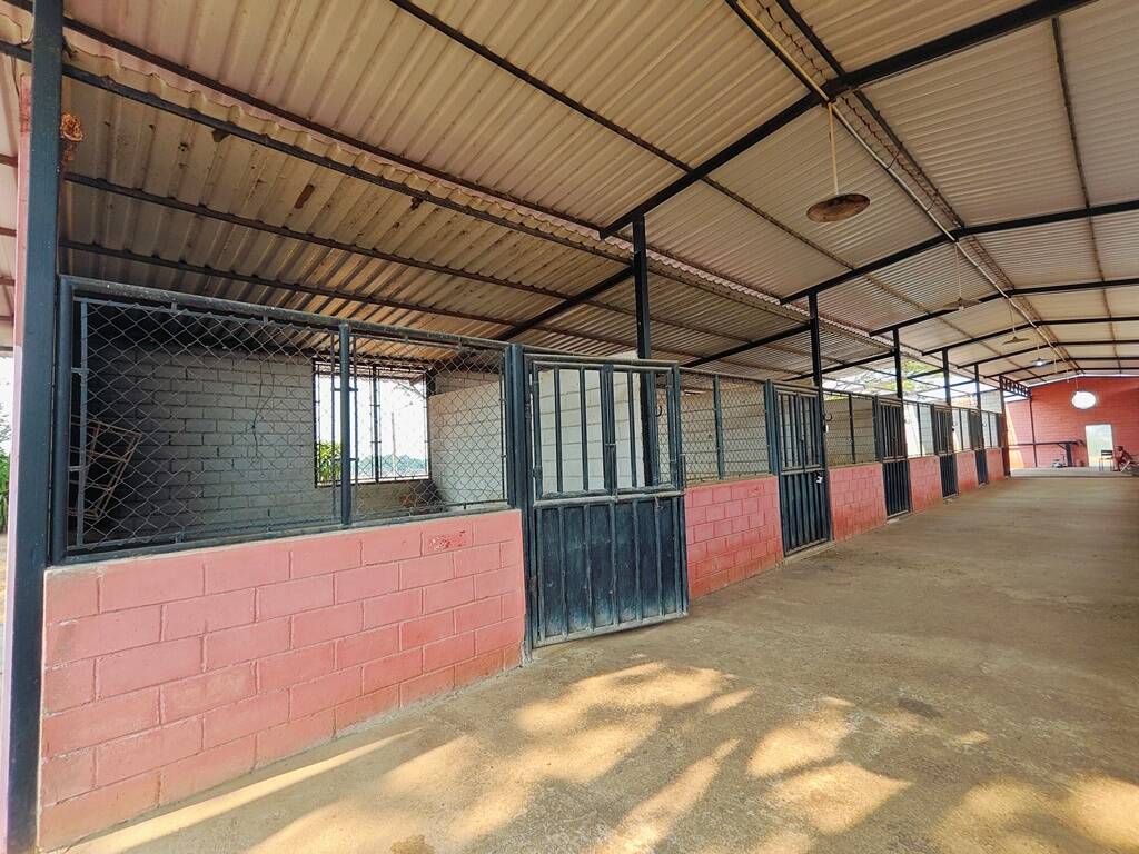 #315932 - Hacienda / Finca / Granja para Venta en Valencia - G