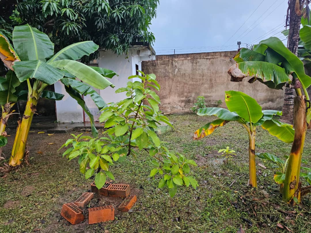 #257814 - mini finca para Venta en San Diego - G