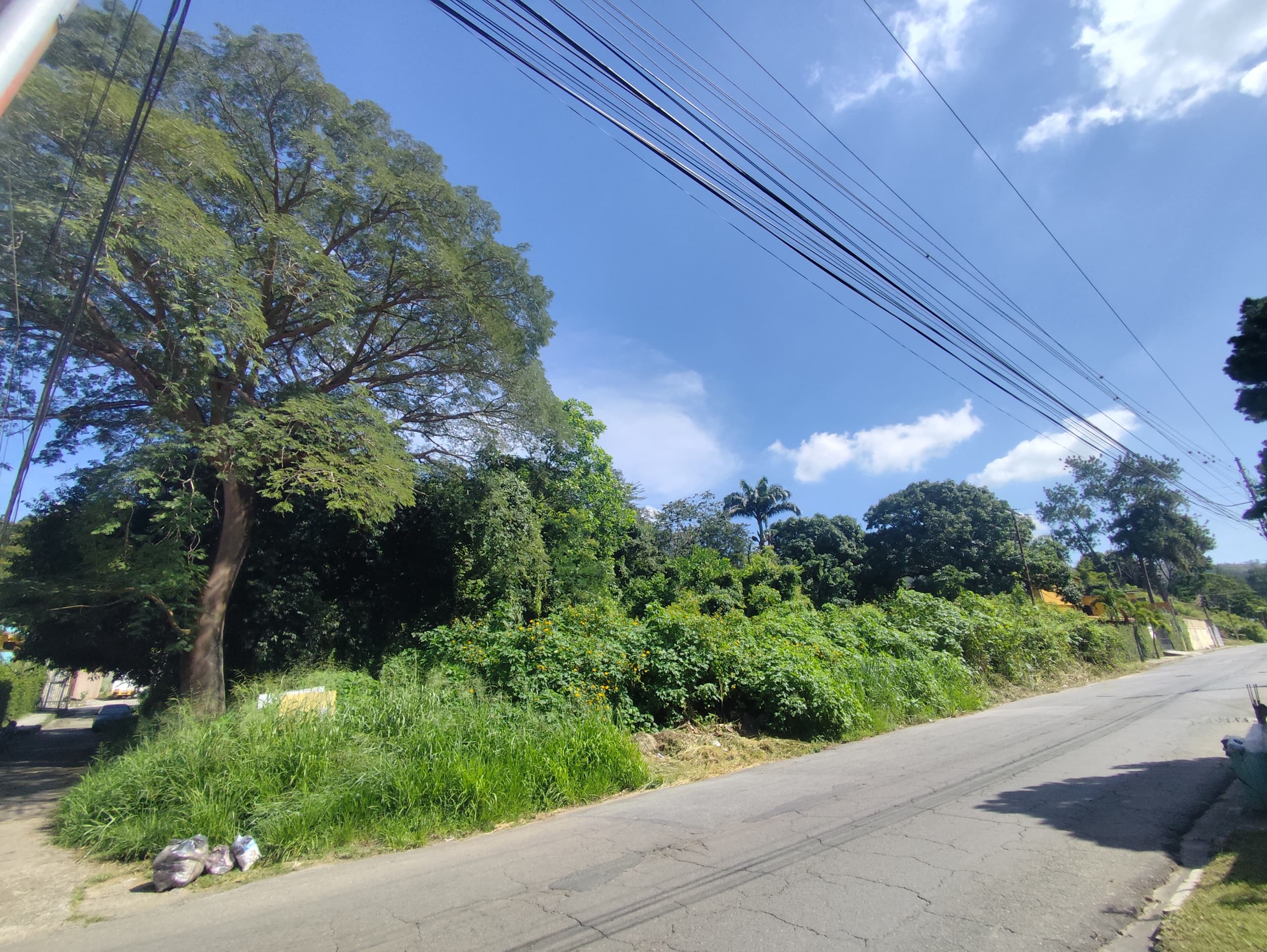 #311360 - Terreno para Venta en Valencia - G