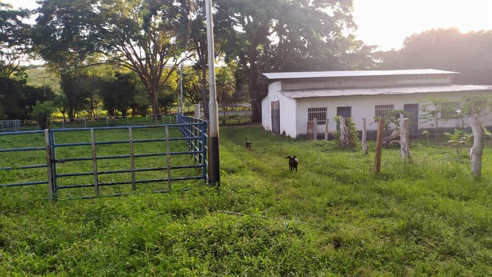 #285556 - Hacienda / Finca / Granja para Venta en Valencia - G