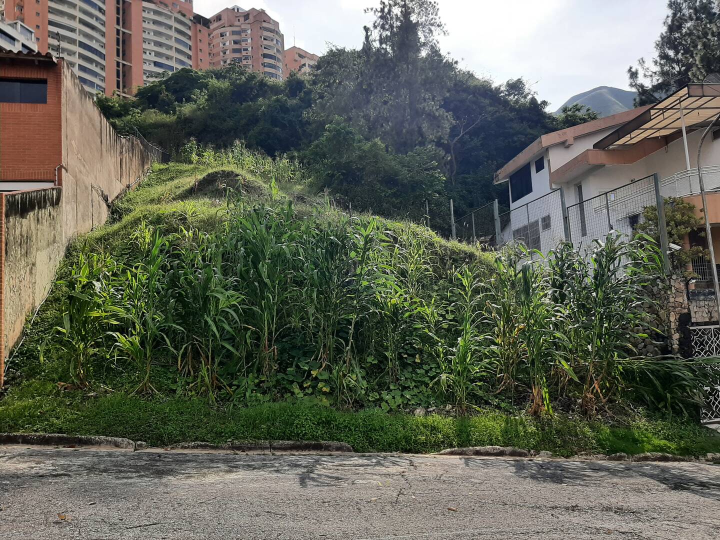 #26882 - Terreno para Venta en Valencia - G