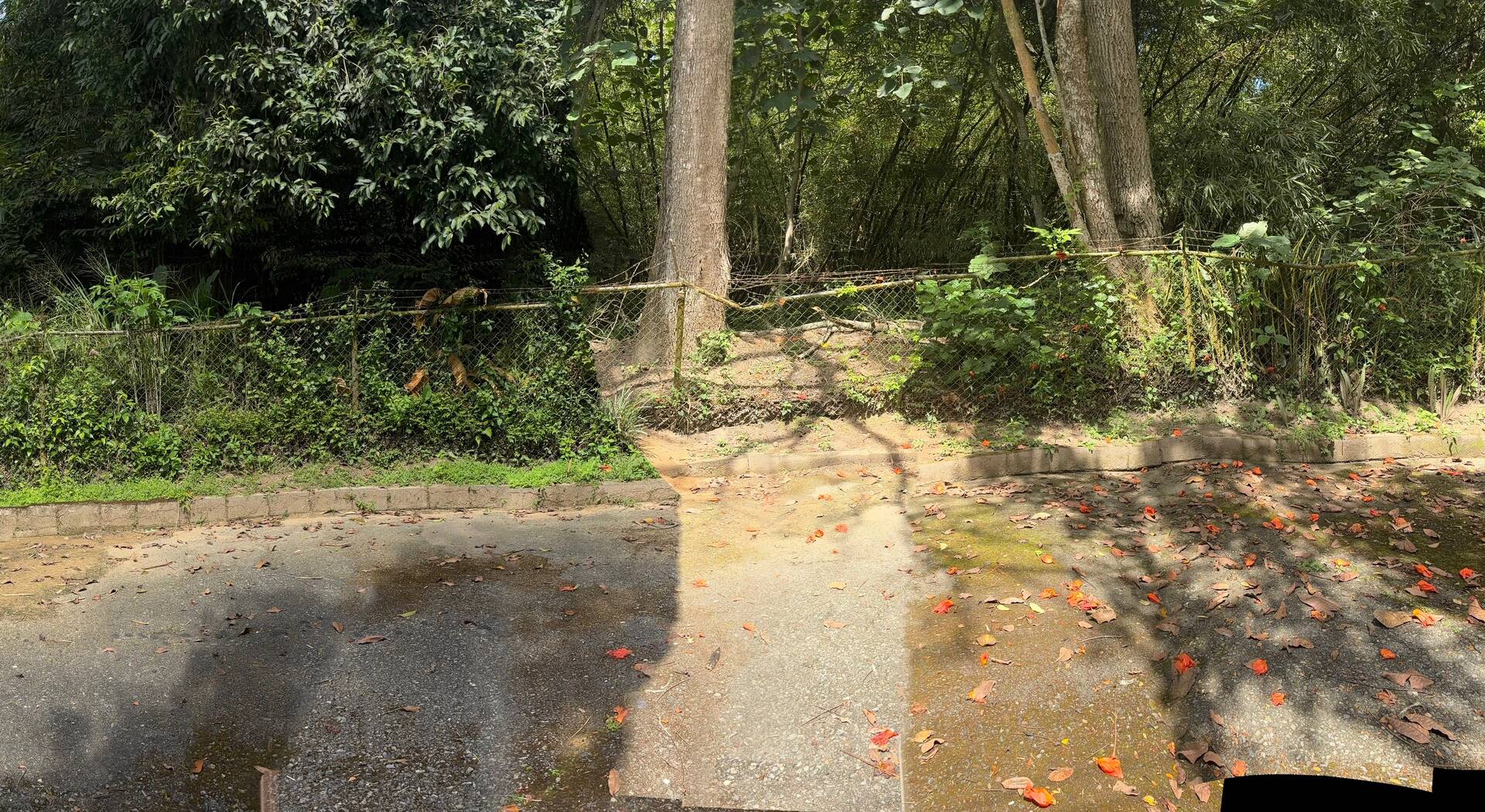 #3O8315 - mini finca para Venta en Montalbán - G