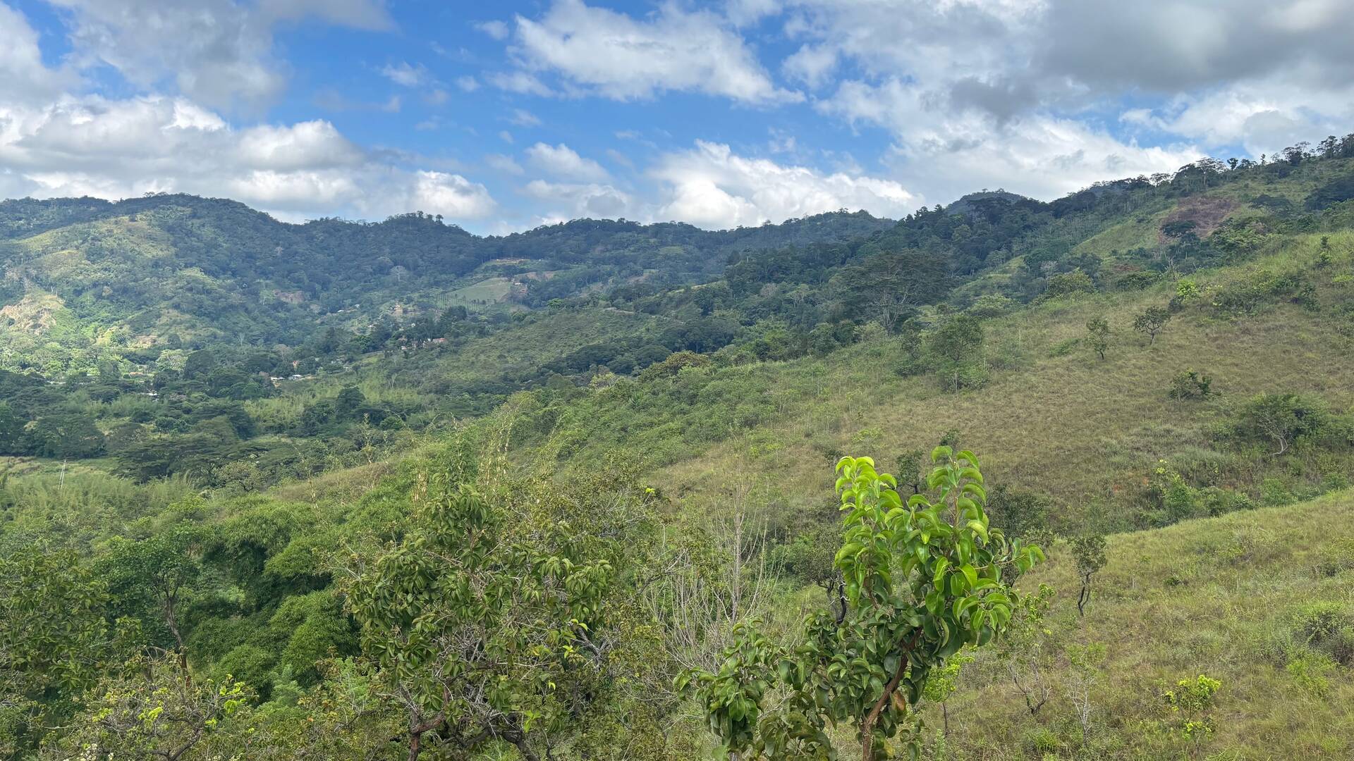#308343 - mini finca para Venta en Montalbán - G