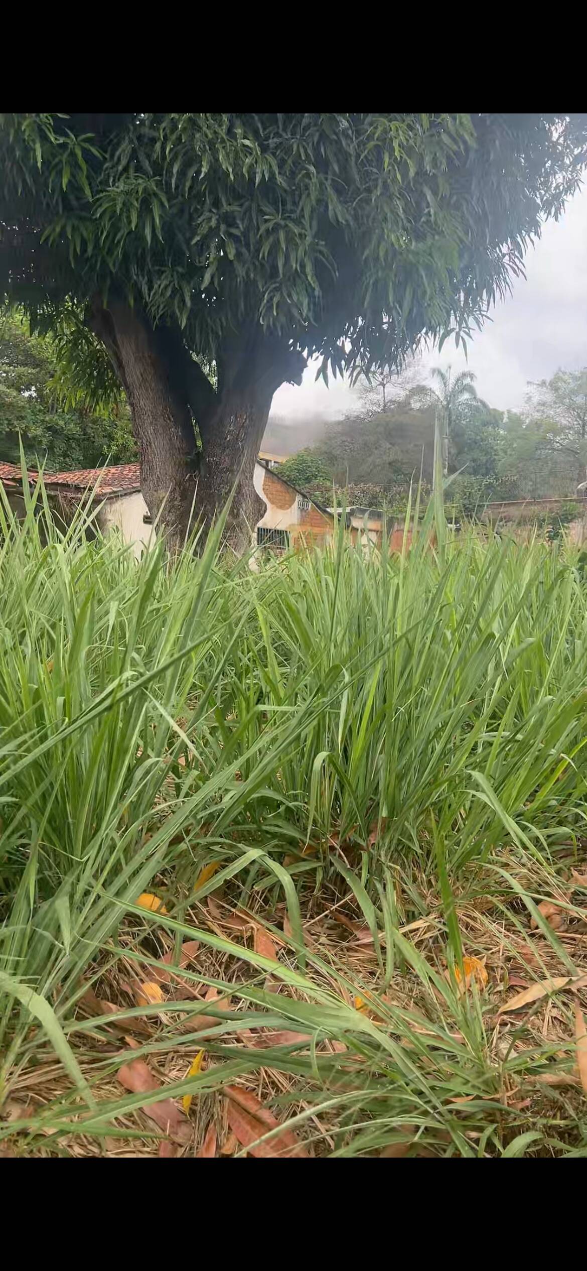 #324795 - Terreno para Venta en Valencia - G