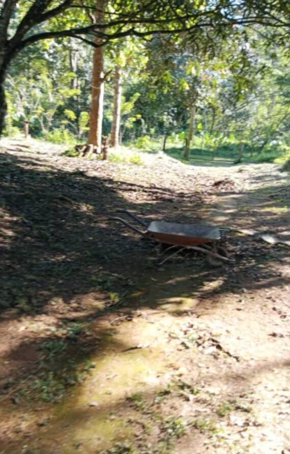 #325430 - mini finca para Venta en Tocuyito - G