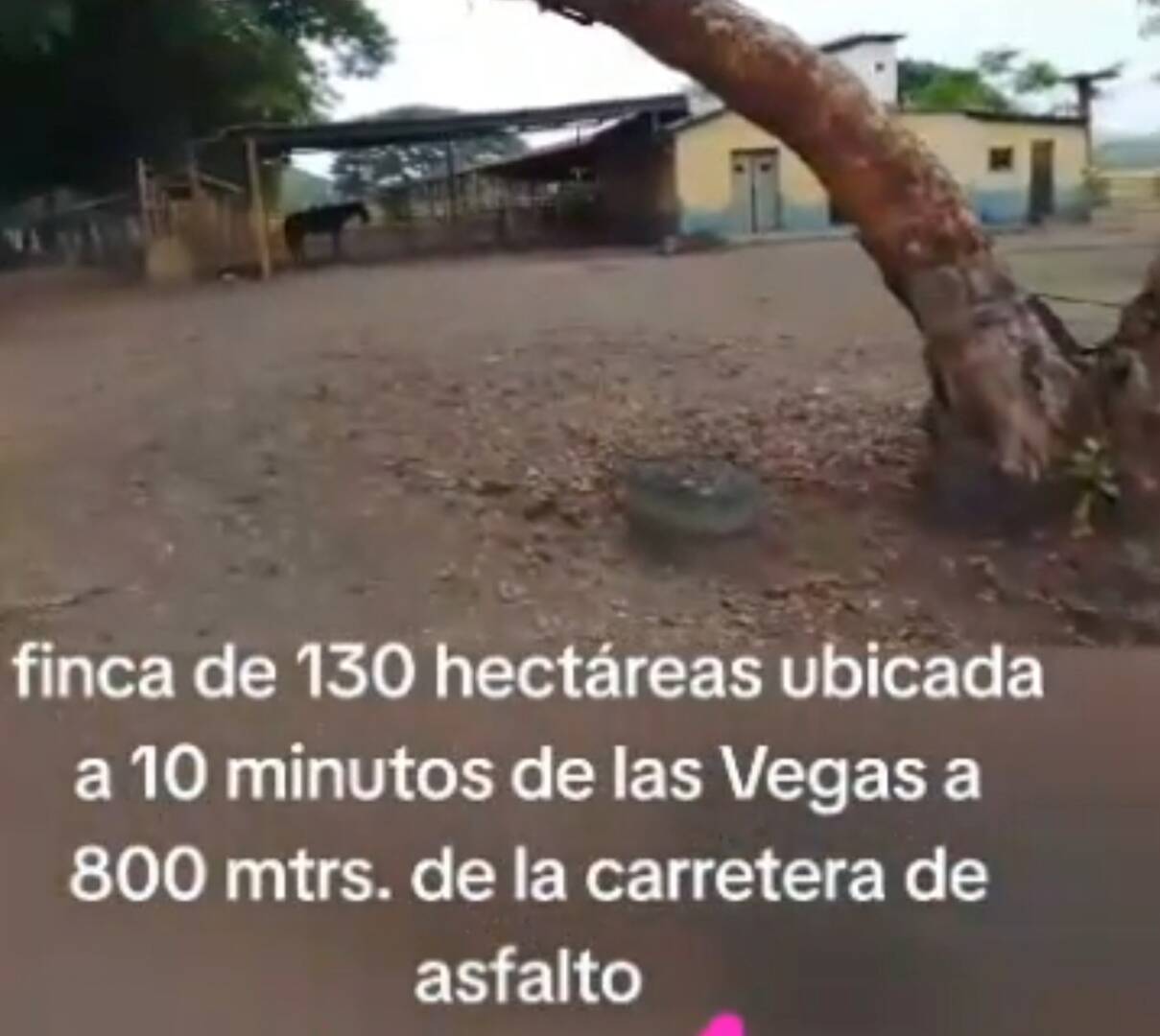 #31032 - Hacienda / Finca / Granja para Venta en Valencia - G