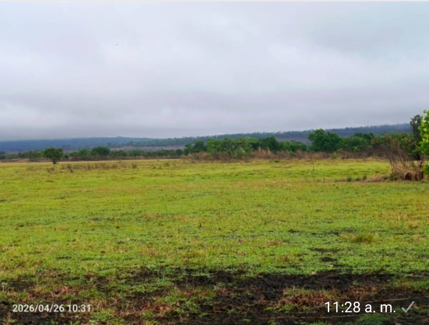 #326219 - Hacienda / Finca / Granja para Venta en Valencia - G