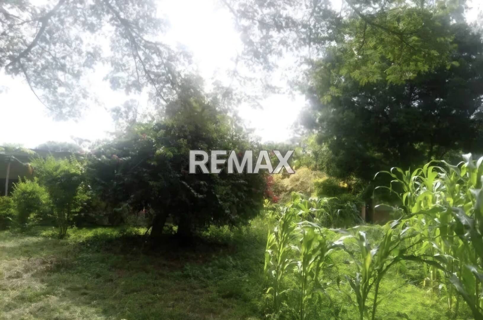 #327507 - Hacienda / Finca / Granja para Venta en Valencia - G