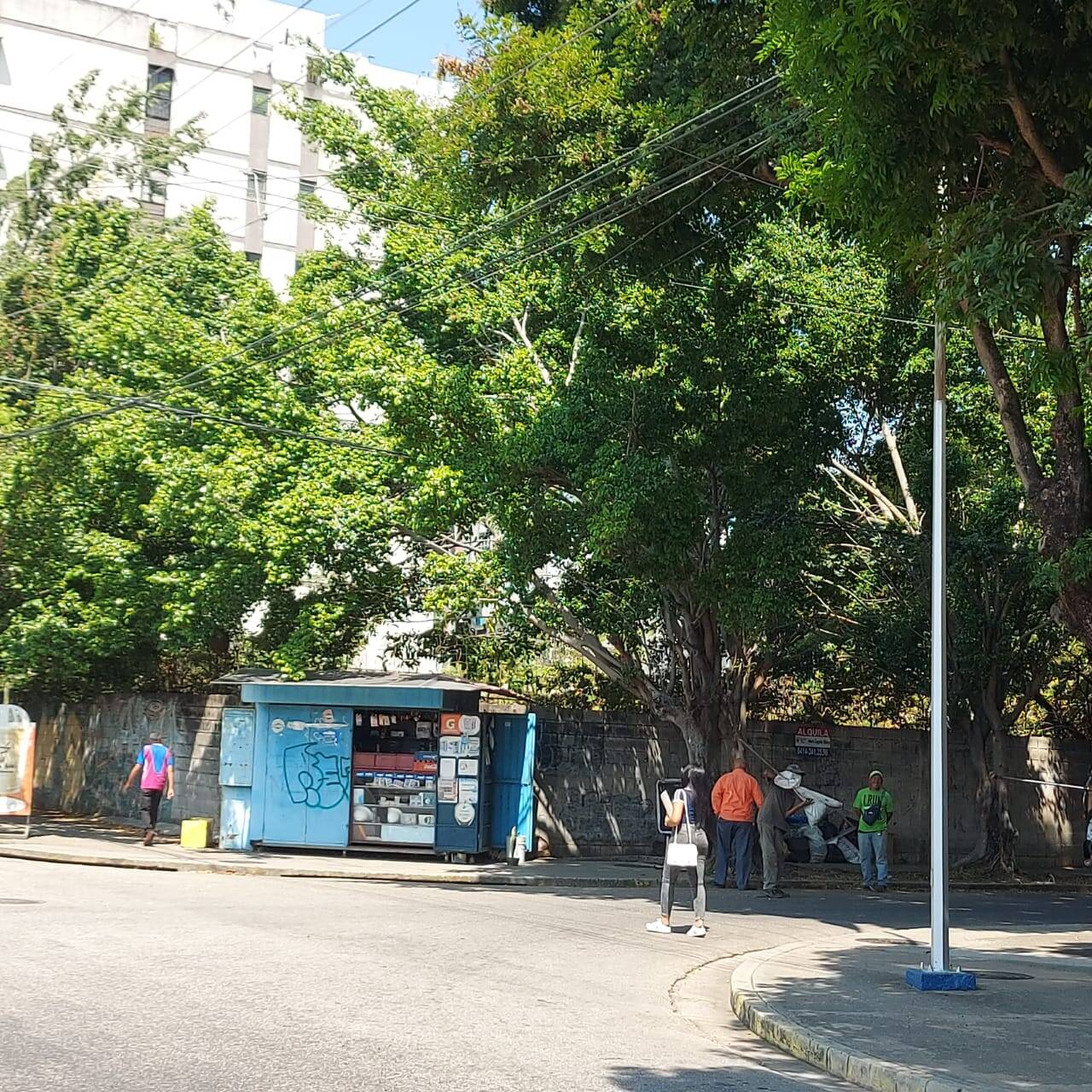 #254911 - Terreno para Alquiler en Valencia - G