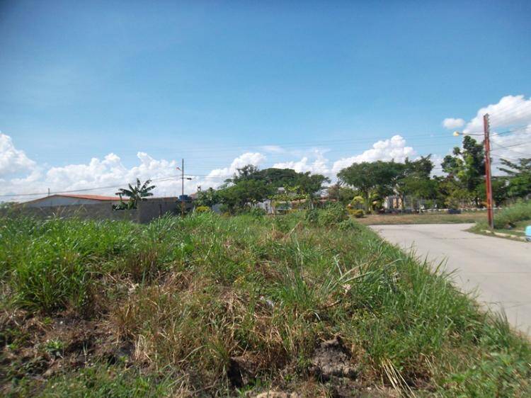 #298893 - Terreno para Venta en Valencia - G
