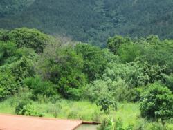 Terreno para Venta en  Naguanagua - 4