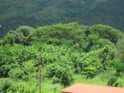 Terreno para Venta en  Naguanagua - 5
