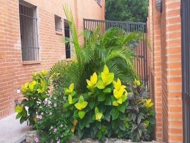 #11442 - Consultorio para Alquiler en Valencia - G