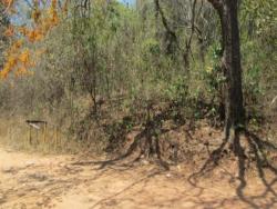 Terreno para Venta en Naguanagua - 4