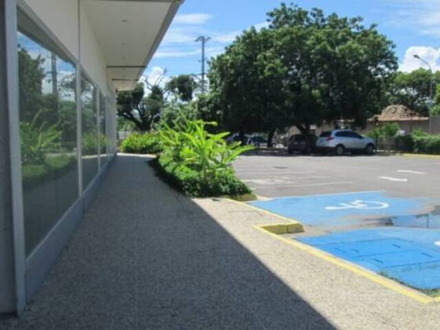 Local / Casa Comercial para Venta en Guacara - 3