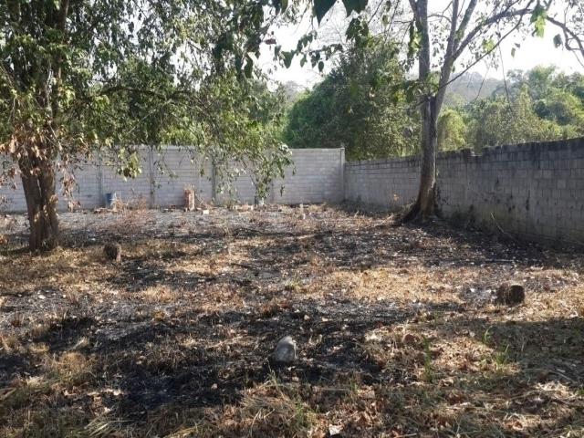 #427010 - Terreno para Venta en Valencia - G