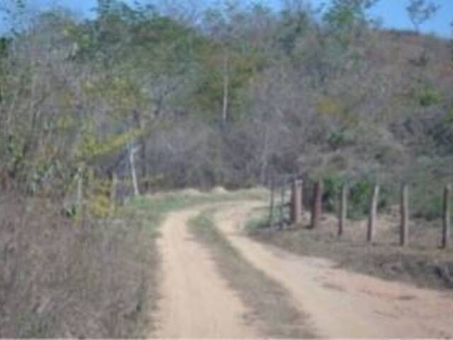  en  - 
