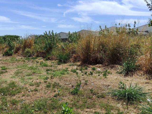 #8025 - Terreno para Venta en Los Guayos - G - 2
