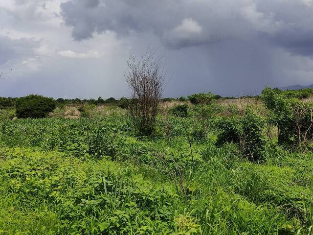 #448704 - Terreno para Venta en Los Guayos - G - 2