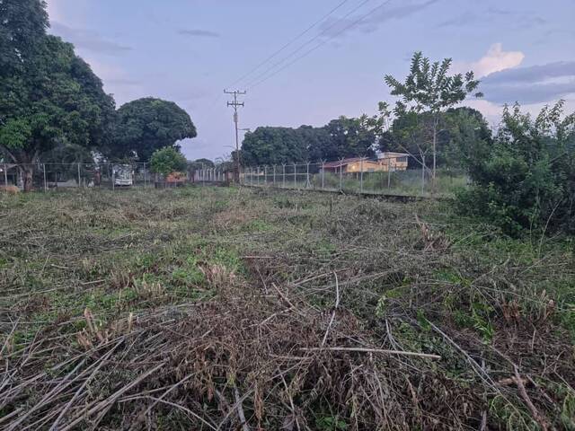 #197545 - Terreno para Venta en Tocuyito - G - 3