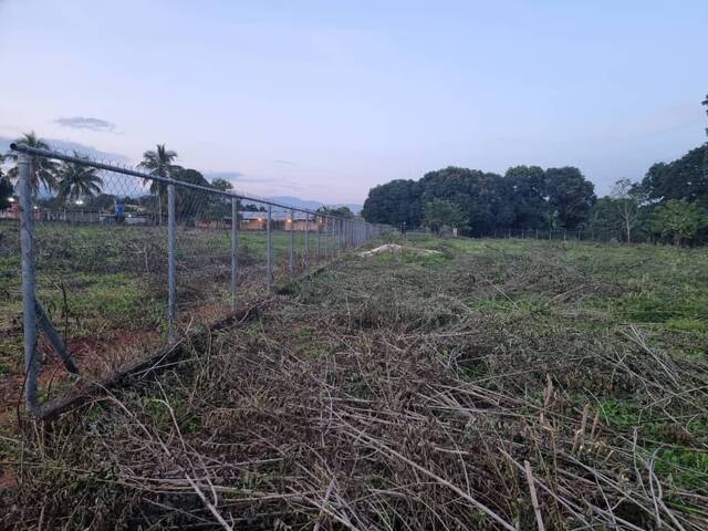 Terreno para Venta en Tocuyito - 4