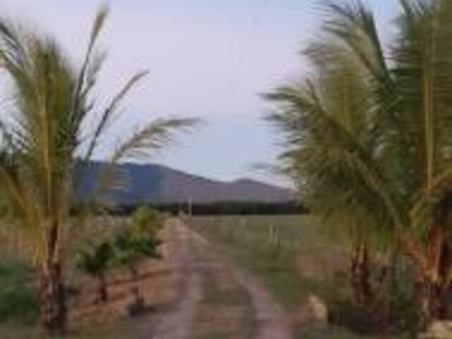#10316 - Terreno para Venta en Valencia - G