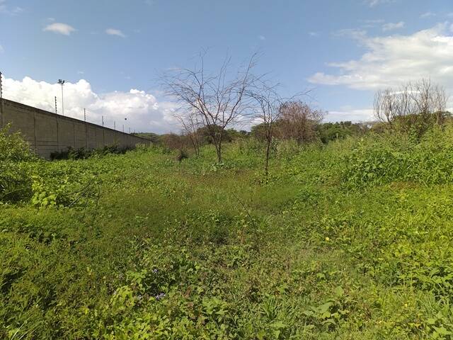 #241443 - Terreno para Venta en Guacara - G