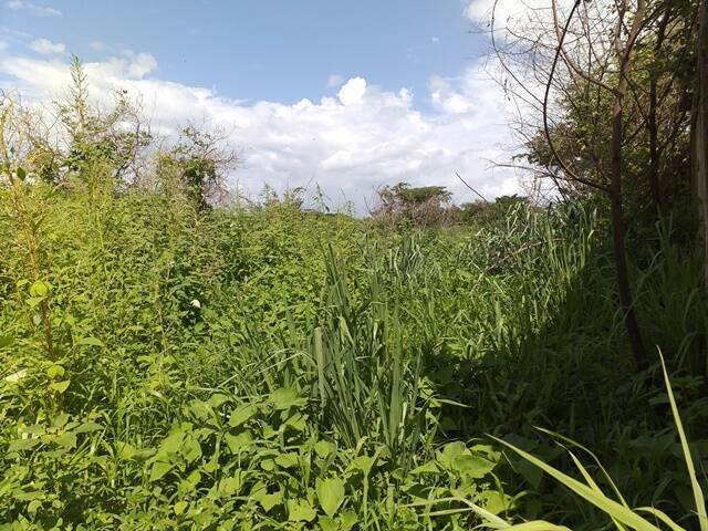 #241443 - Terreno para Venta en Guacara - G