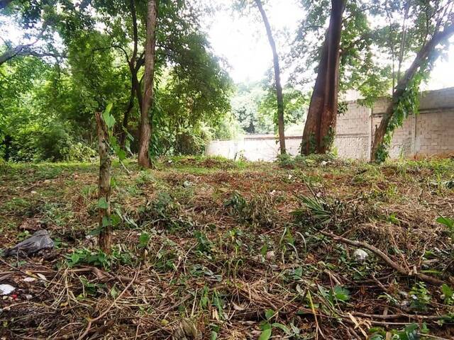 Terreno para Venta en Valencia - 4