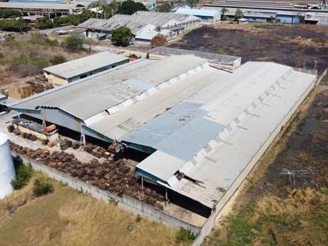 Venta en Ciudad Alianza - Guacara