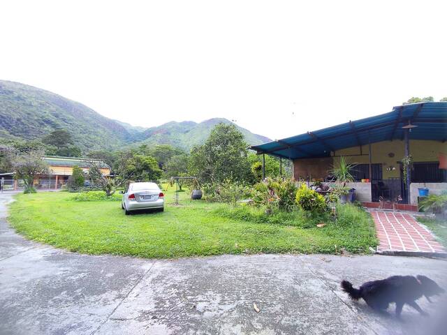 Venta en Vigirima - Guacara