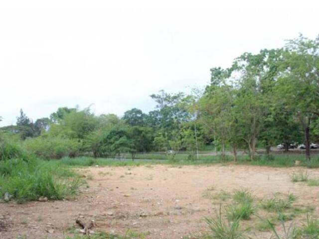 Terreno para Venta en Valencia - 4