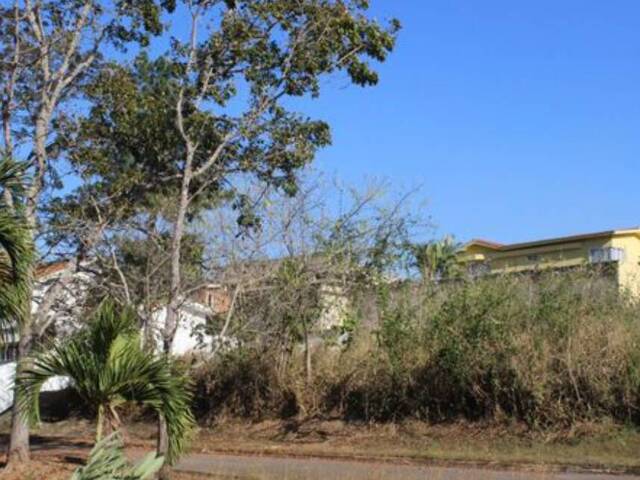 Terreno para Venta en Valencia - 5