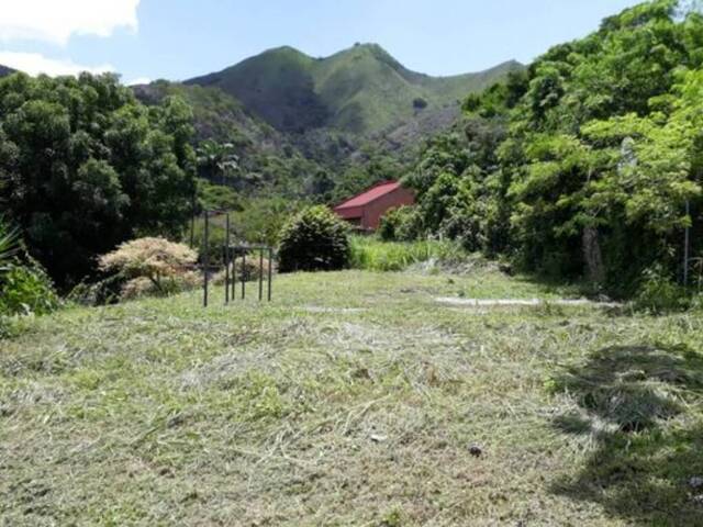 Terreno para Venta en Valencia - 2