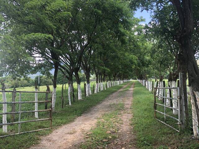 #243162 - Hacienda / Finca / Granja para Venta en Valencia - G