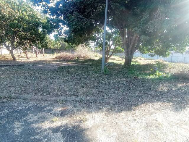 Terreno para Venta en San Diego - 5