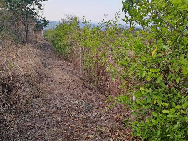 #257511 - mini finca para Venta en Valencia - G