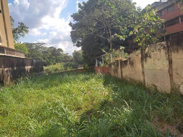 Mini finca para Venta en Valencia - 3