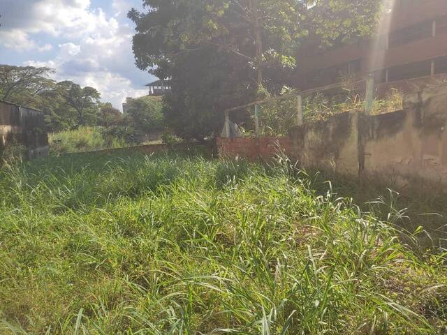 Mini finca para Venta en Valencia - 4