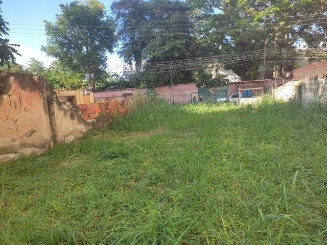 Mini finca para Venta en Valencia - 5