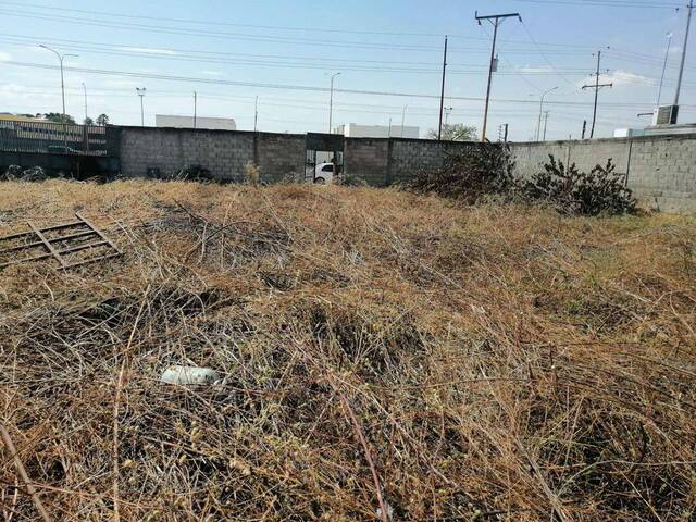 Terreno para Venta en Valencia - 5