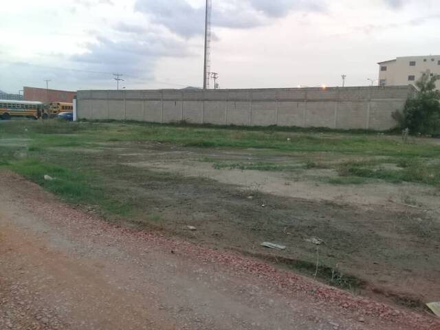 #203365 - mini finca para Venta en Valencia - G