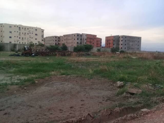 Mini finca para Venta en Valencia - 4