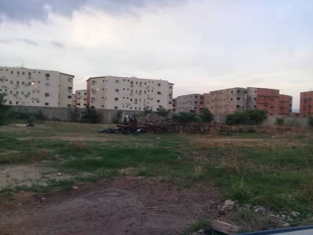 Mini finca para Venta en Valencia - 5