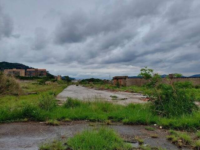 #271217 - mini finca para Venta en Valencia - G - 3
