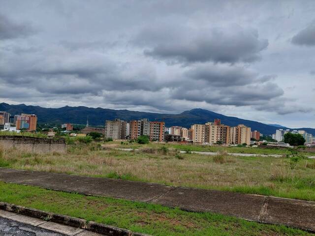 Mini finca para Venta en Valencia - 4