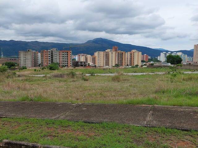 Mini finca para Venta en Valencia - 5