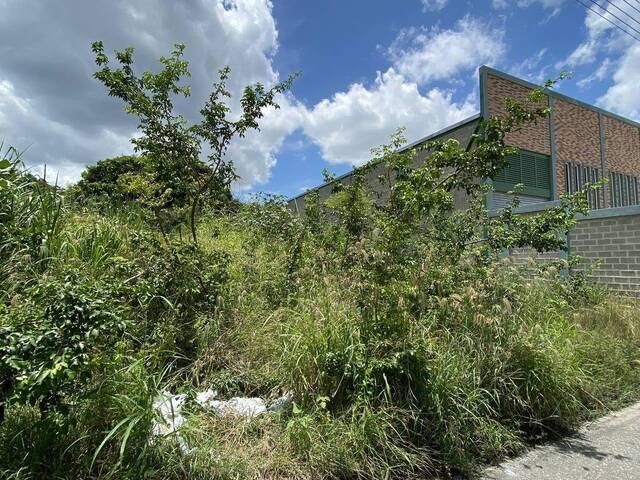 Mini finca para Venta en San Diego - 4