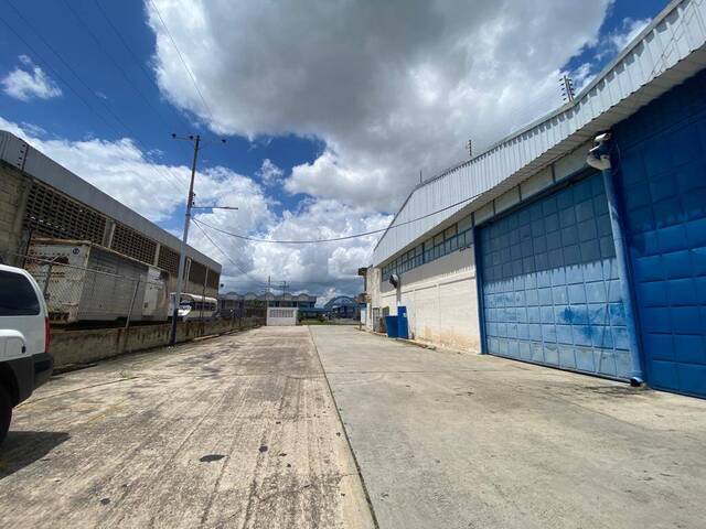 Alquiler en Zona Industrial Castillito - San Diego